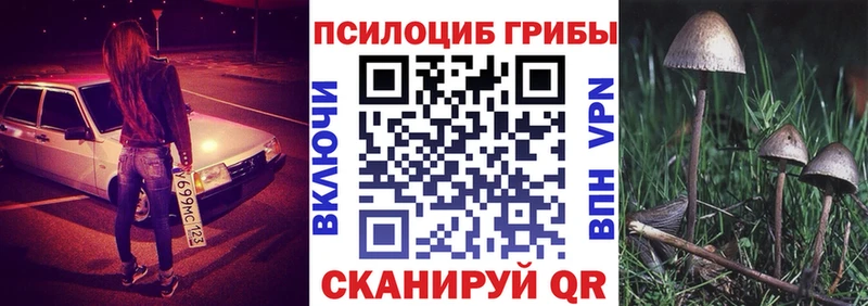 hydra ссылка  Спас-Клепики  Псилоцибиновые грибы Magic Shrooms  купить наркотик 
